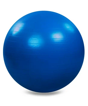 Fitball +pompa d-65 cm 826065
