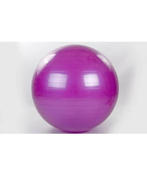 Fitball +pompa 75 см 826075