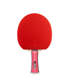 Paleta de tenis pentru copii Joola  Team Junior 52004