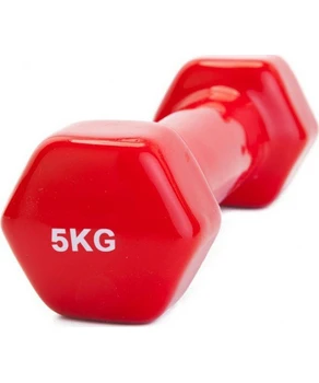 Gantere de fitness acoperite cu vinil 1x5 kg A805