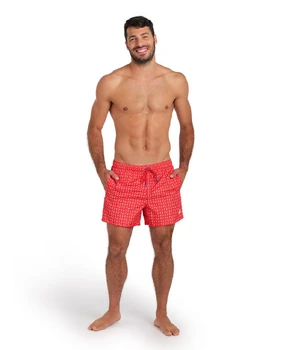 шорты arena MEN’S BEACH SHORT ALLOVER 005253