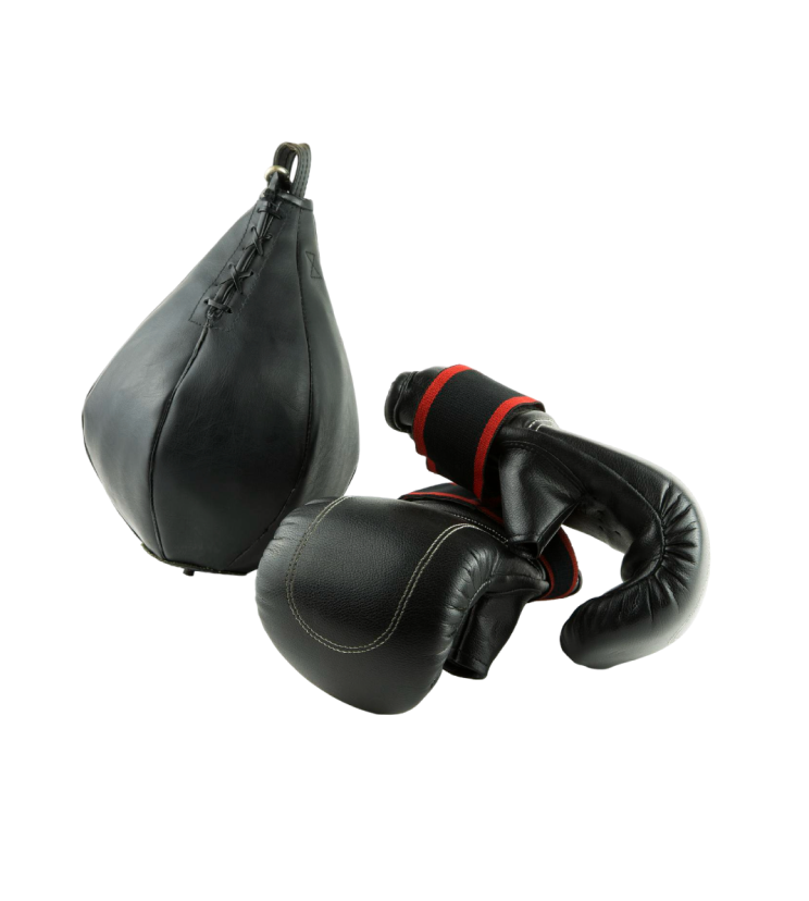 Единоборства